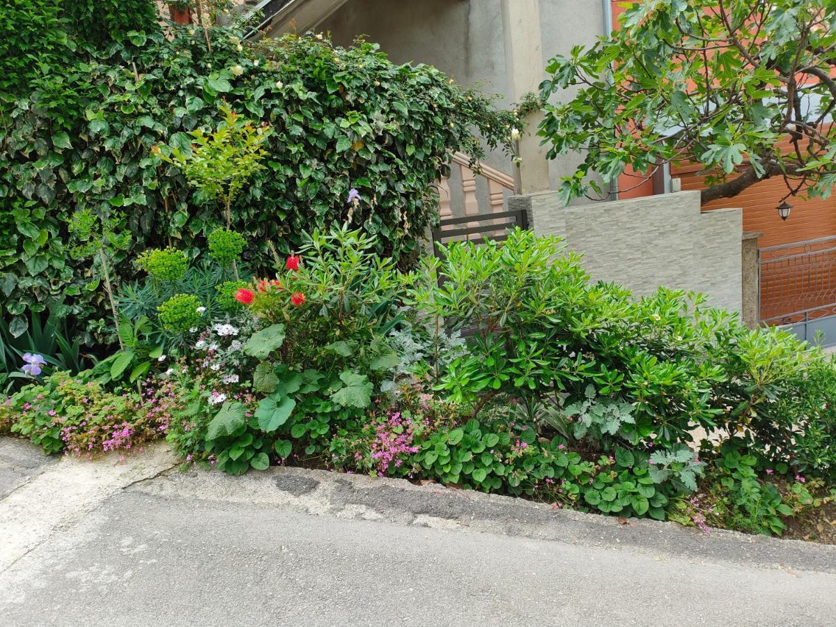 Studio Apartman Rea Kotor Zewnętrze zdjęcie