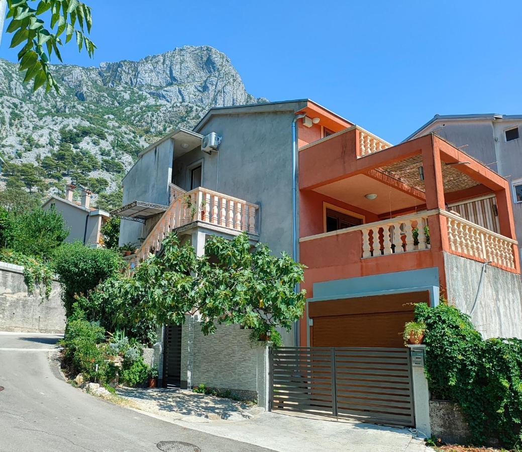 Studio Apartman Rea Kotor Zewnętrze zdjęcie