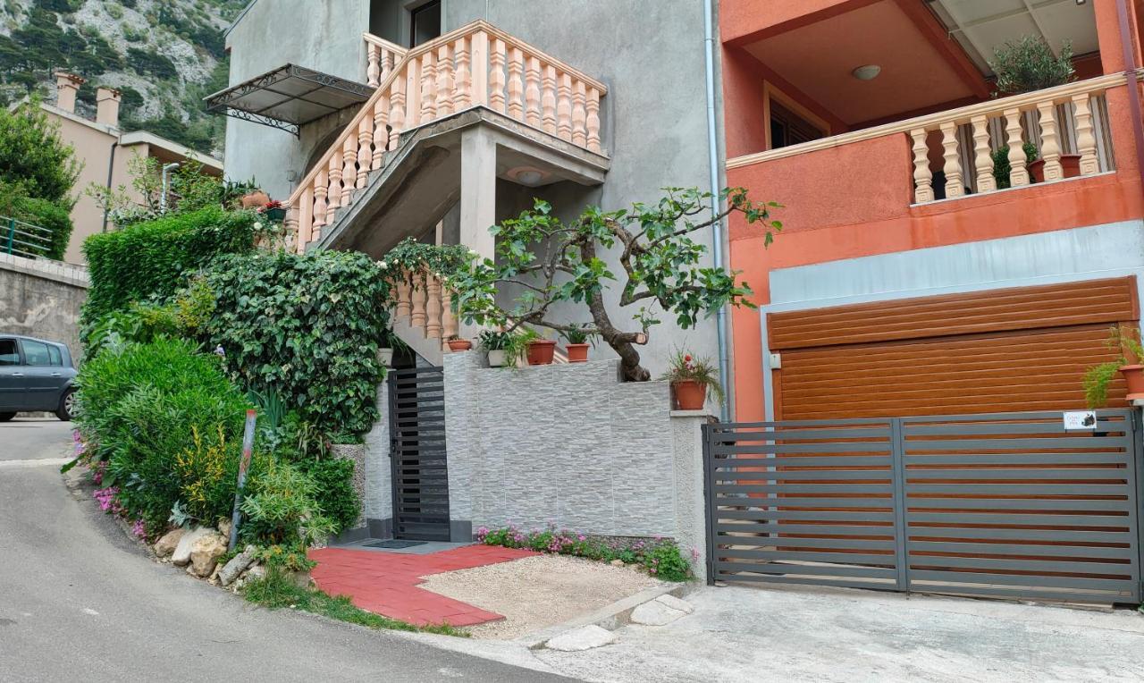 Studio Apartman Rea Kotor Zewnętrze zdjęcie
